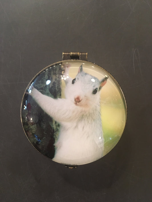 Round brass trinket box with a photo of a white squirrel on top and a burnished bronze colored clasp.
