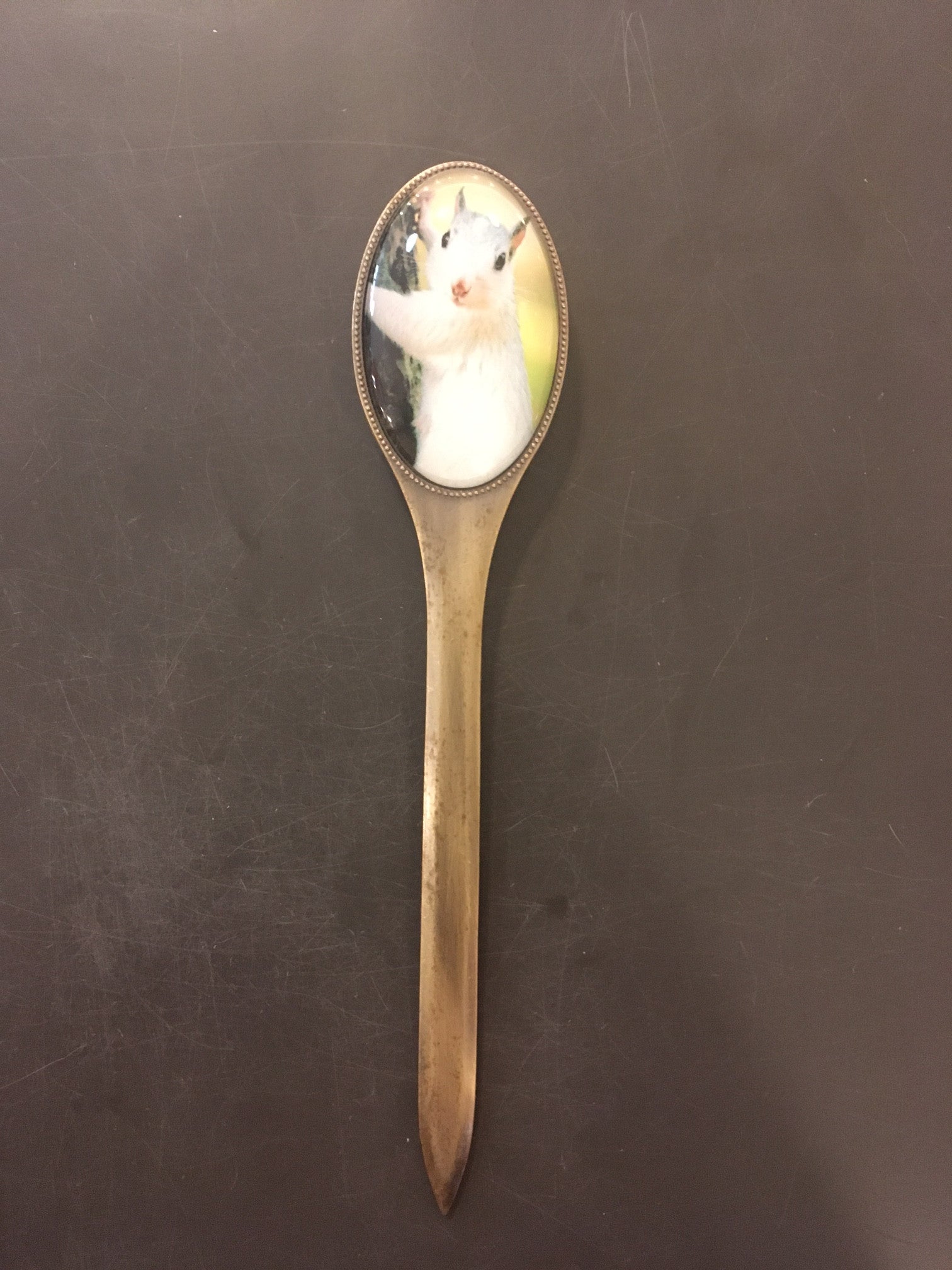 A brass letter opener with a glass handle and a two-sided oval picture of a white squirrel on the back side.