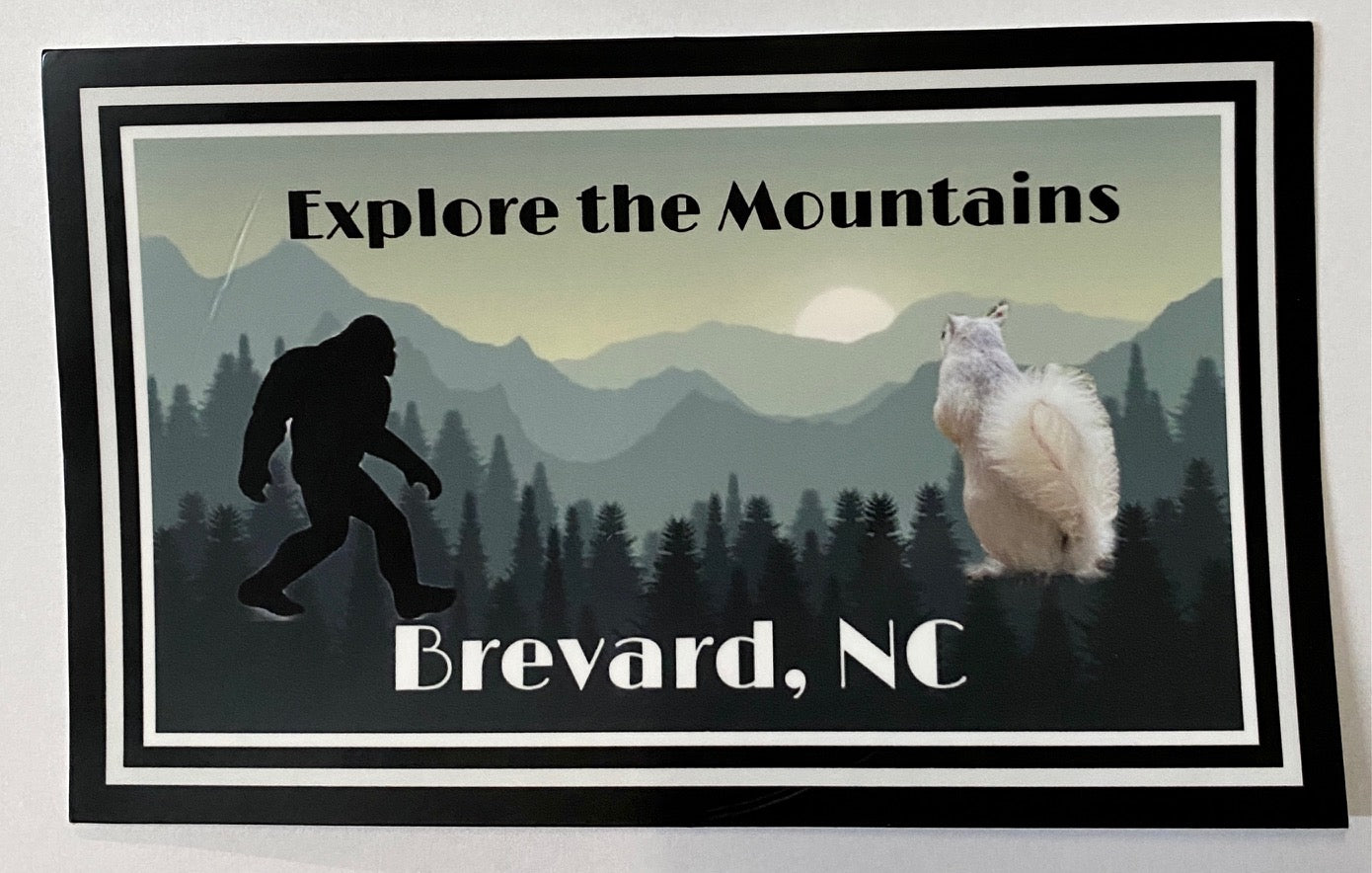 A bumper sticker with an illustration of a white squirrel and Sasquatch, featuring the text 'Explore the Mountains, Brevard, NC'.