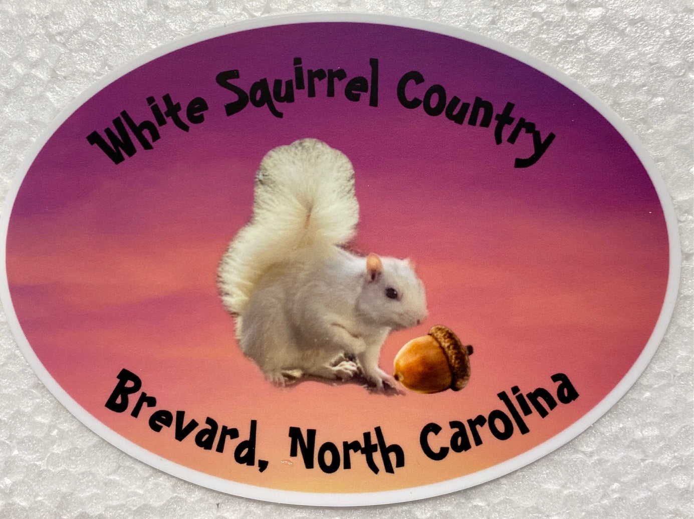 A vinyl decal featuring an image of a white squirrel with a acorn, and text 'White Squirrel Country Brevard, North Carolina'.
