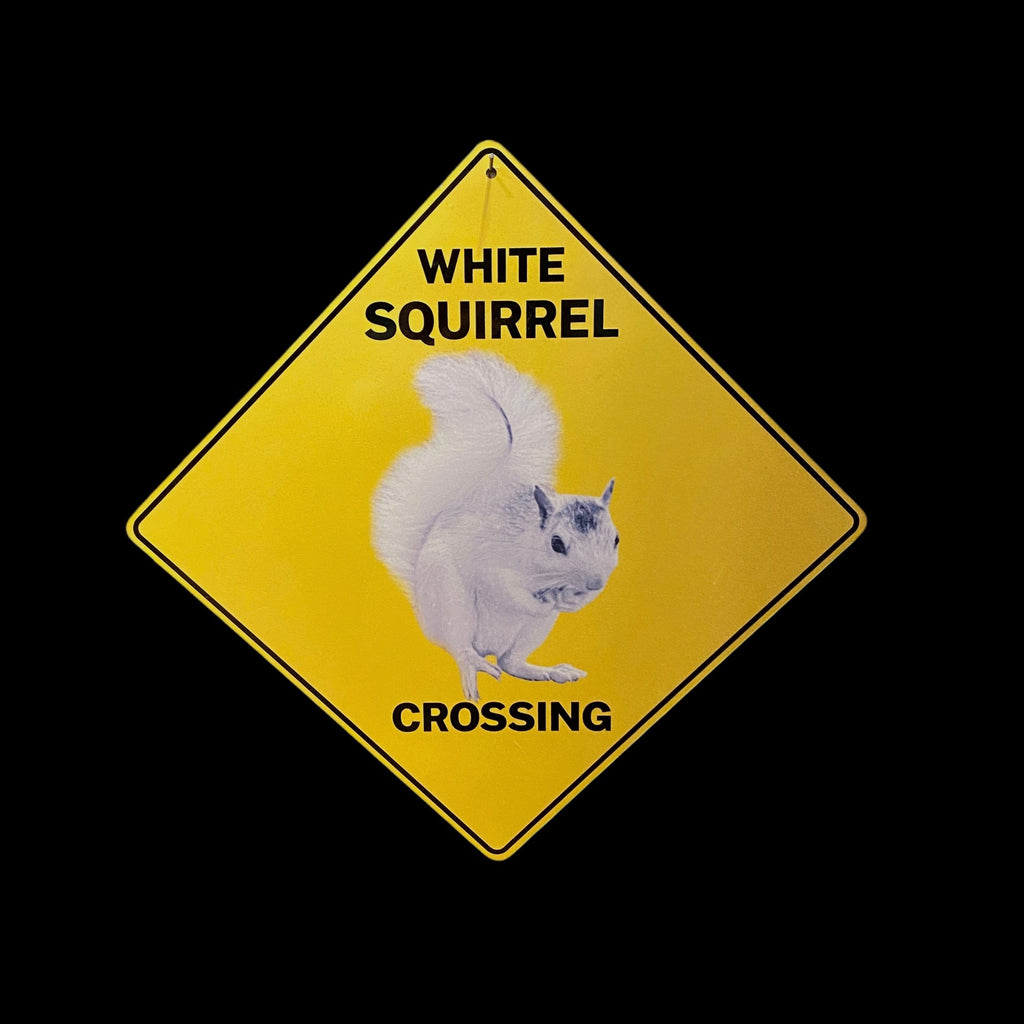 White Squirrel Crossing Sign - 12" x 12" Metal