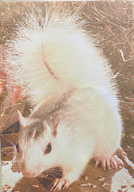 A two-sided garden flag featuring a close-up image of a white squirrel with a fluffy tail, sitting in a sunny outdoor setting. The flag captures the texture and white color of the squirrel's fur, highlighted by the sunlight.