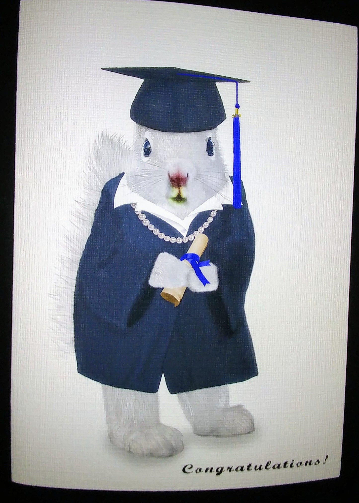 Notecards - White Squirrels in a Variety of Sports Activities by Christine Pentecost