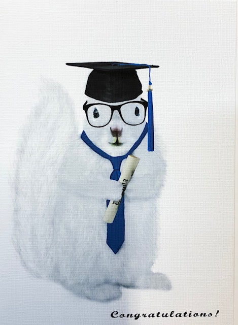 Notecards - White Squirrels in a Variety of Sports Activities by Christine Pentecost