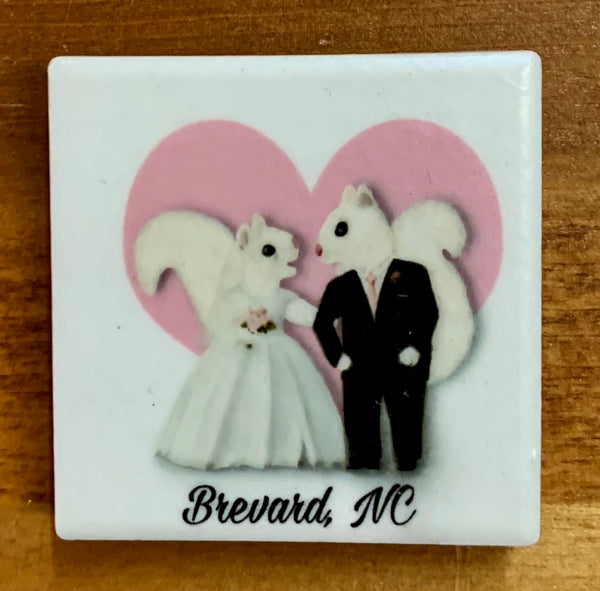 Magnet - Tile White Squirrel Sports & Hobby Enthusiasts