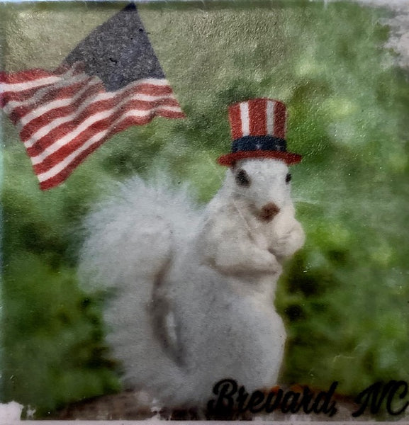 Magnet - Tile White Squirrel Sports & Hobby Enthusiasts