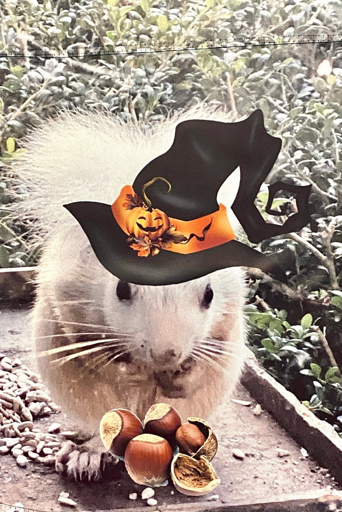 Garden Flag - White Squirrel in Witch's Hat with Acorns