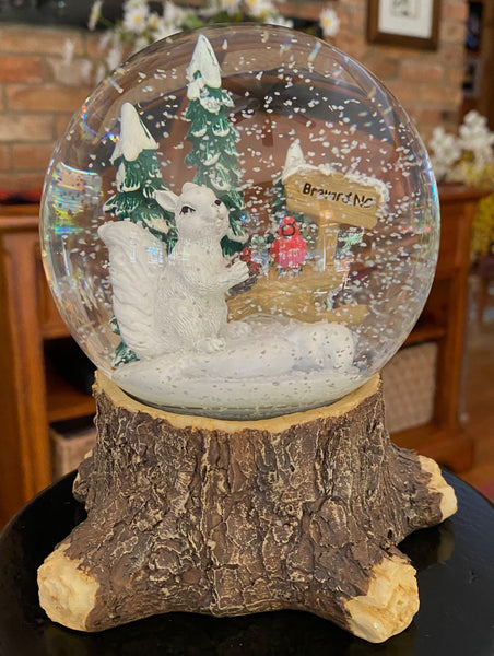 Snow Globe - White Squirrel, Brevard, NC Design