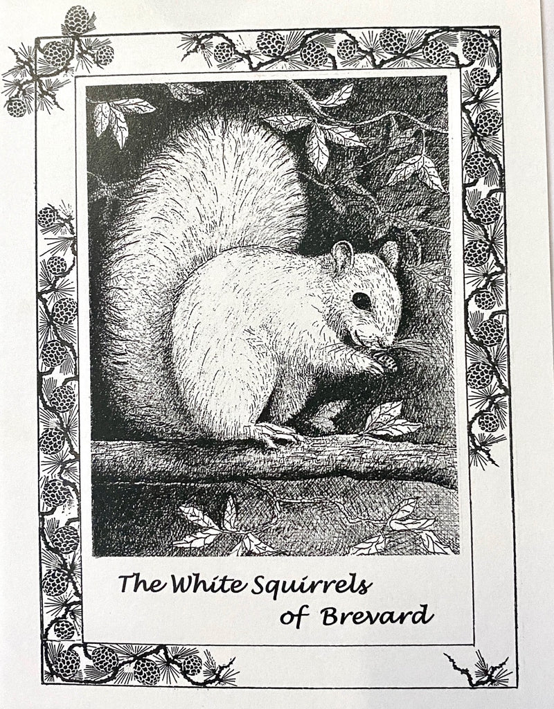 Notecards - White Squirrel Black & White Drawing by Lee Pantas