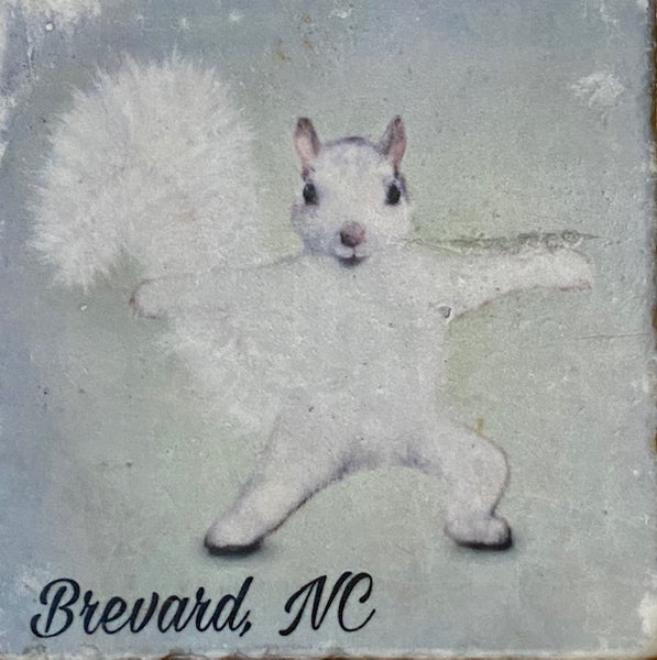 Magnet - Tile - White Squirrel Sports & Hobby Enthusiasts