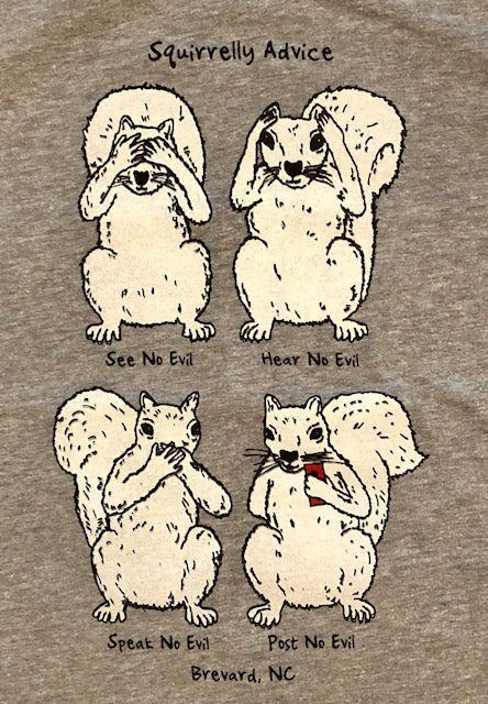 T-Shirt - Adult - See No Evil, Hear No Evil, Speak No Evil, Post No Evil - 3/4 Sleeve Baseball Style