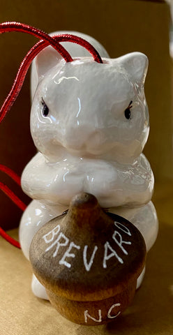 Ornament - Decorated White Squirrel Salt Ornament Holding an Acorn that says "Brevard, NC"