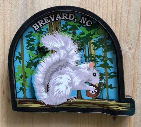 Magnet - Wooden Dimensional White Squirrel in the Blue Woods with Brevard, NC imprint