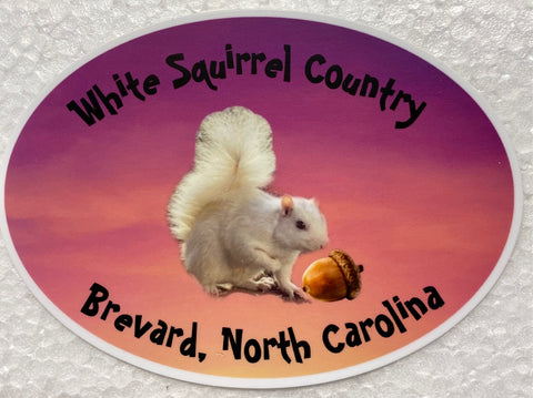 Decal/Sticker - White Squirrel Country - 5.24" Oval