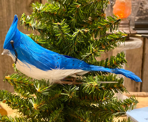 Birds - Blue Jay - Feathered Blue Jay - with pick for attaching