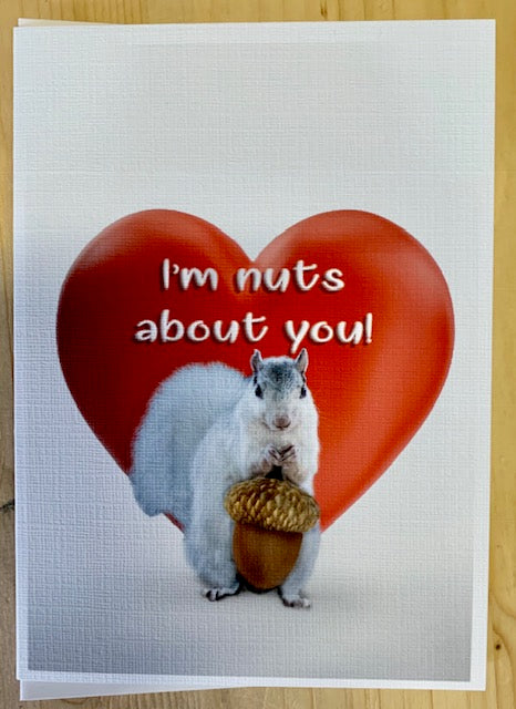 Notecards - White Squirrels in a Variety of Sports Activities by Christine Pentecost