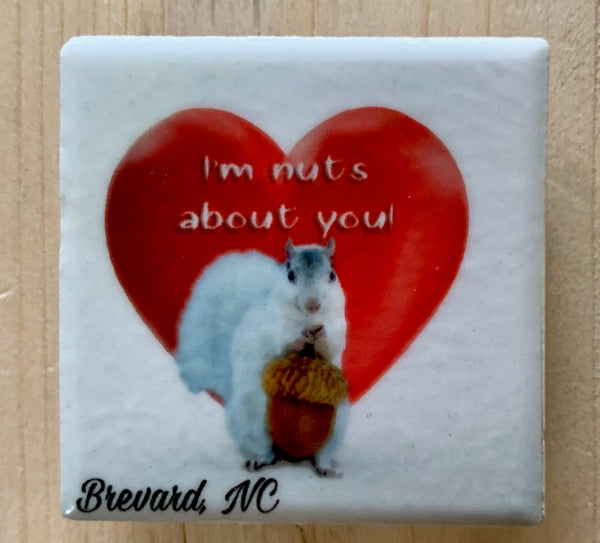 Magnet - Tile White Squirrel Sports & Hobby Enthusiasts