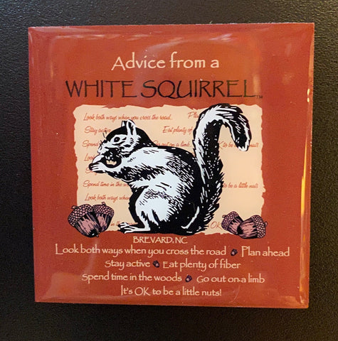 Magnet - Button - Advice From a White Squirrel - 2.5" Square