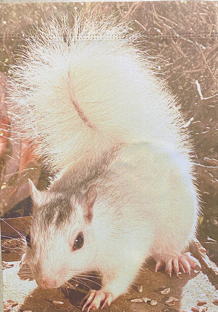 Garden Flag - White Squirrel in the Sunshine - After Christmas Edition 2022
