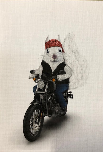 Notecards - White Squirrels in a Variety of Sports Activities by Christine Pentecost