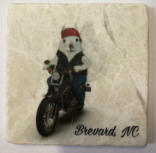 Magnet - Tile White Squirrel Sports & Hobby Enthusiasts