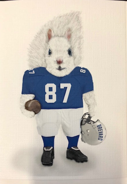 Notecards - White Squirrels in a Variety of Sports Activities by Christine Pentecost