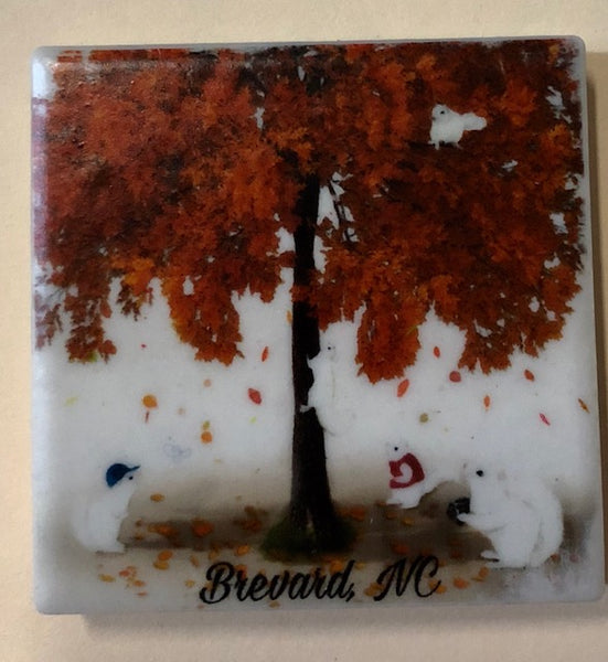 Magnet - Tile - White Squirrel Sports & Hobby Enthusiasts