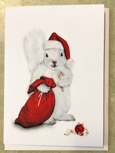 Notecards - White Squirrels in a Variety of Sports Activities by Christine Pentecost