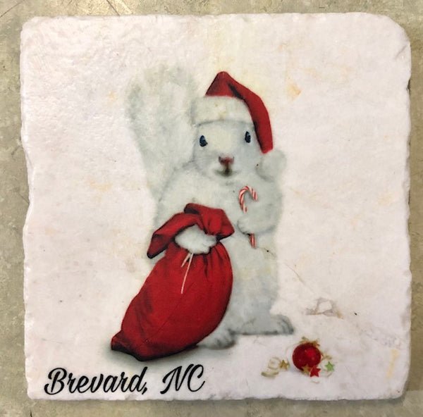 Magnet - Tile White Squirrel Sports & Hobby Enthusiasts