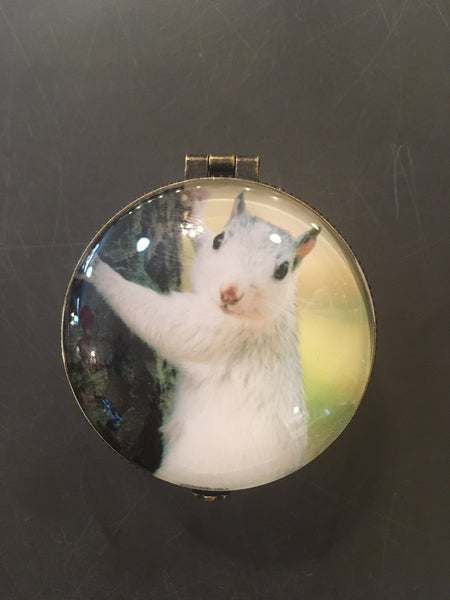 Home Accessory - White squirrel ring or trinket box
