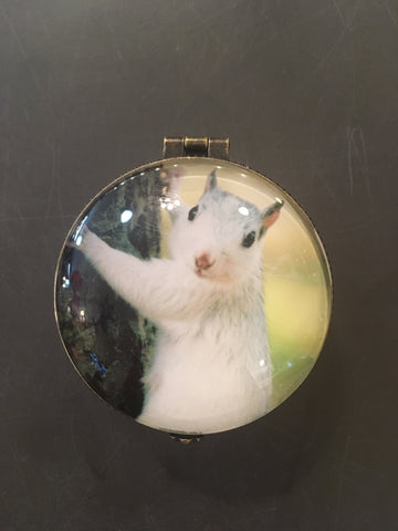 Brass - Round Ring or Trinket Box with White Squirrel Photo
