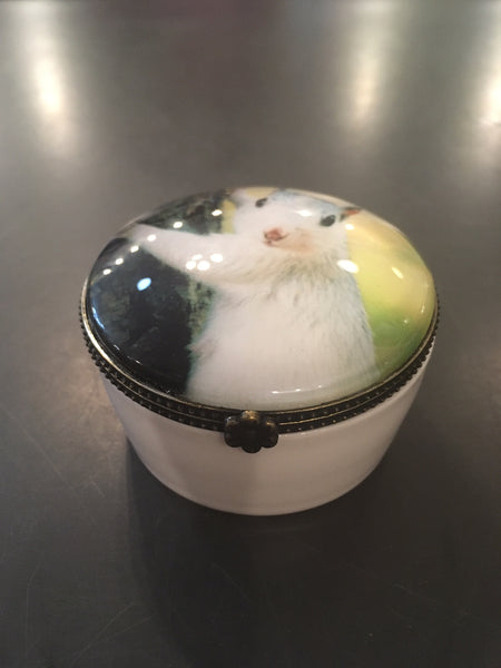 Brass - Round Ring or Trinket Box with White Squirrel Photo