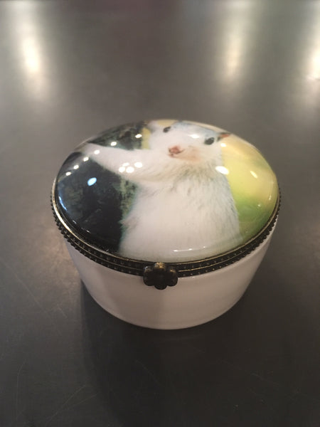 Home Accessory - White squirrel ring or trinket box