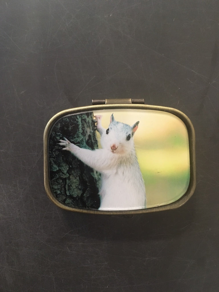 Brass - Pill Box with White Squirrel Photo