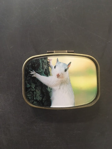 Brass - Pill Box with White Squirrel Photo