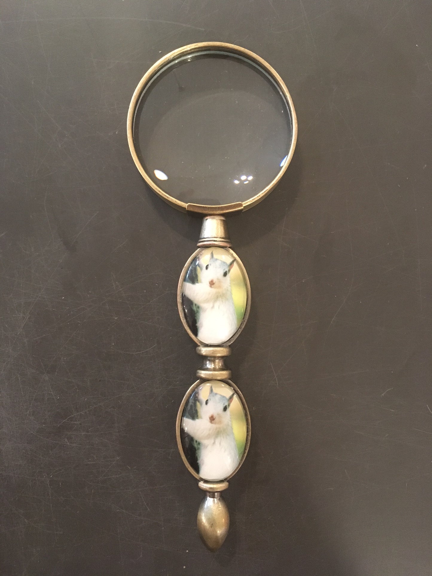Brass - White Squirrel Magnifying Glass