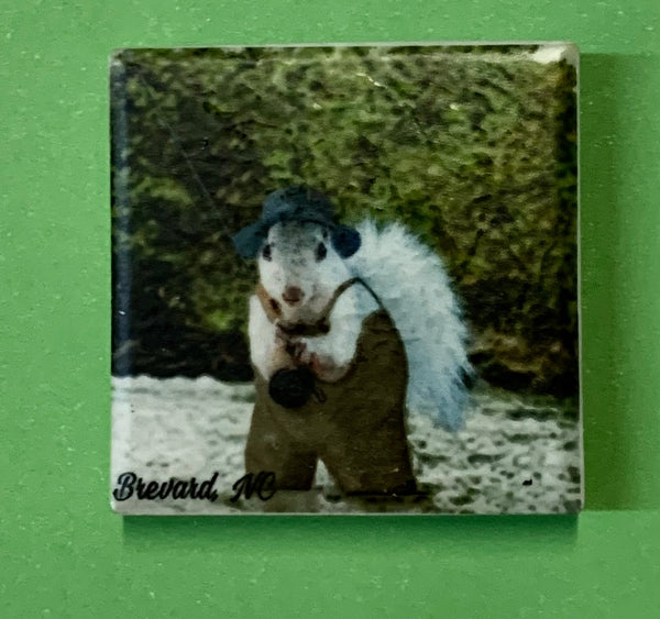 Magnet - Tile White Squirrel Sports & Hobby Enthusiasts