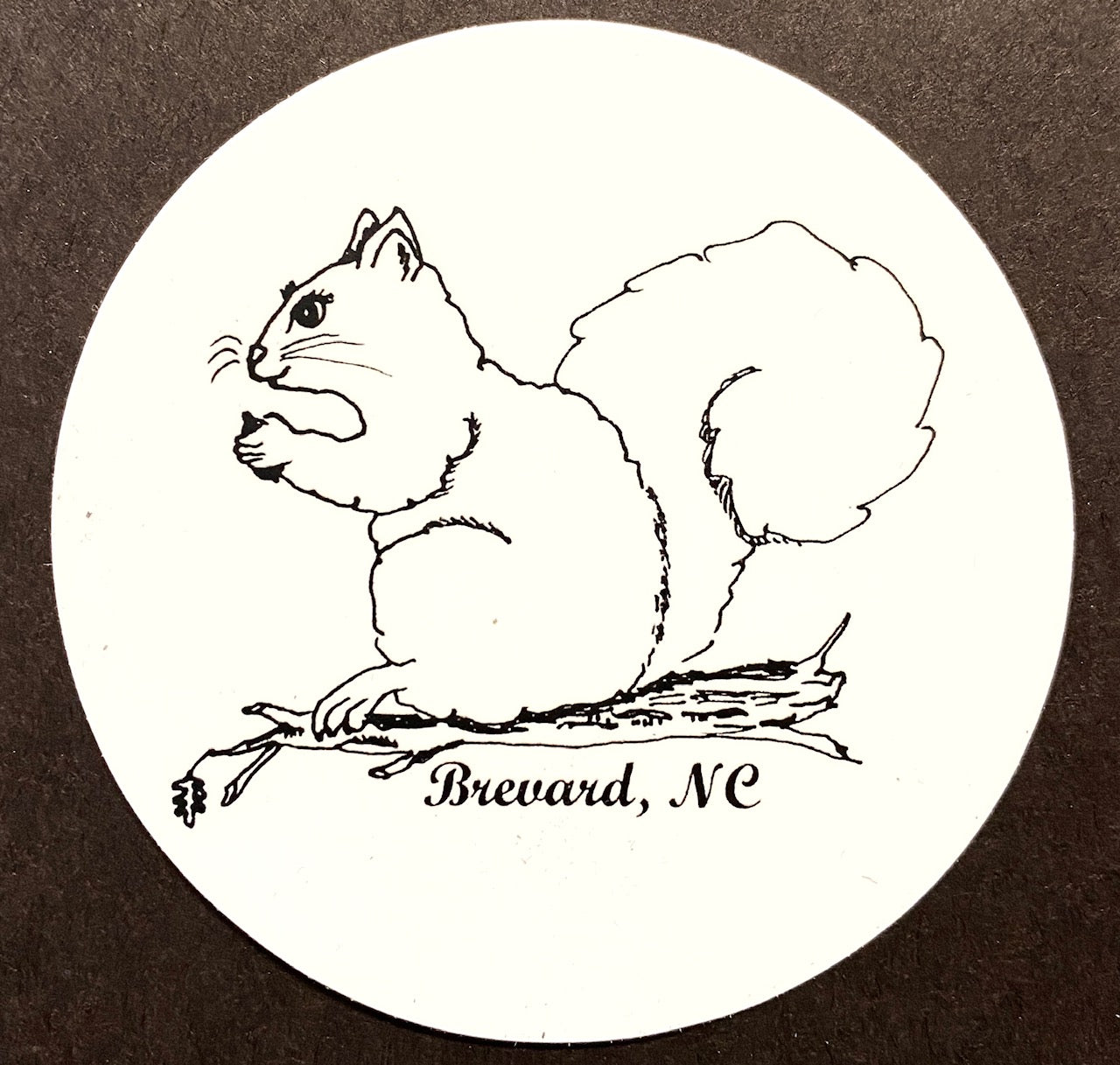 Decal/Sticker - White Squirrel Sketch on White Background with Brevard, NC - 3" Die-Cut