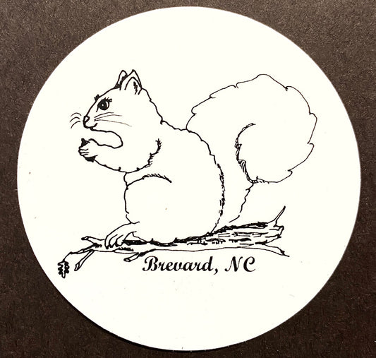 Decal/Sticker - White Squirrel Sketch on White Background with Brevard, NC - 3" Round