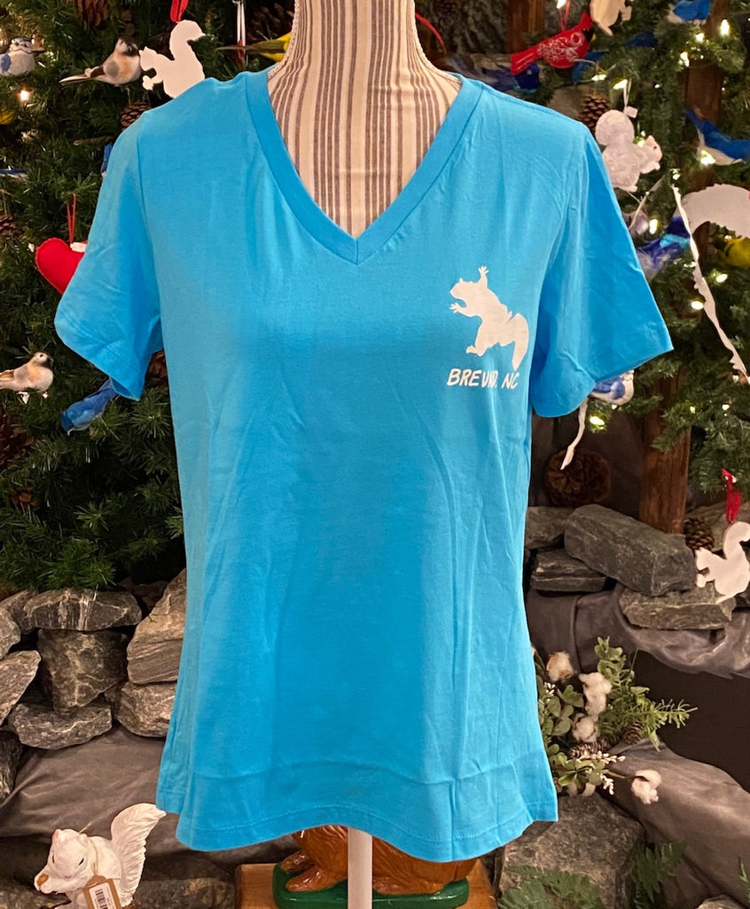 T-Shirt - For Adult Ladies - Bella & Canvas Short Sleeve V-Neck 100% Cotton Tee with the Slogan "I've Got Your Back and Your Birdseed"