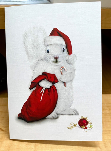 White Squirrel Christmas Cards - Boxed Sets of 10 Cards with Envelopes