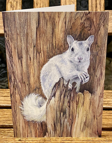 Notecards - White Squirrel Print by Lori Vogel