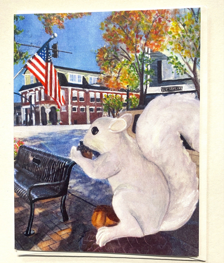 Notecards - Painting of White Squirrel in Downtown Brevard by Tallahassee Artist, Amy Cober