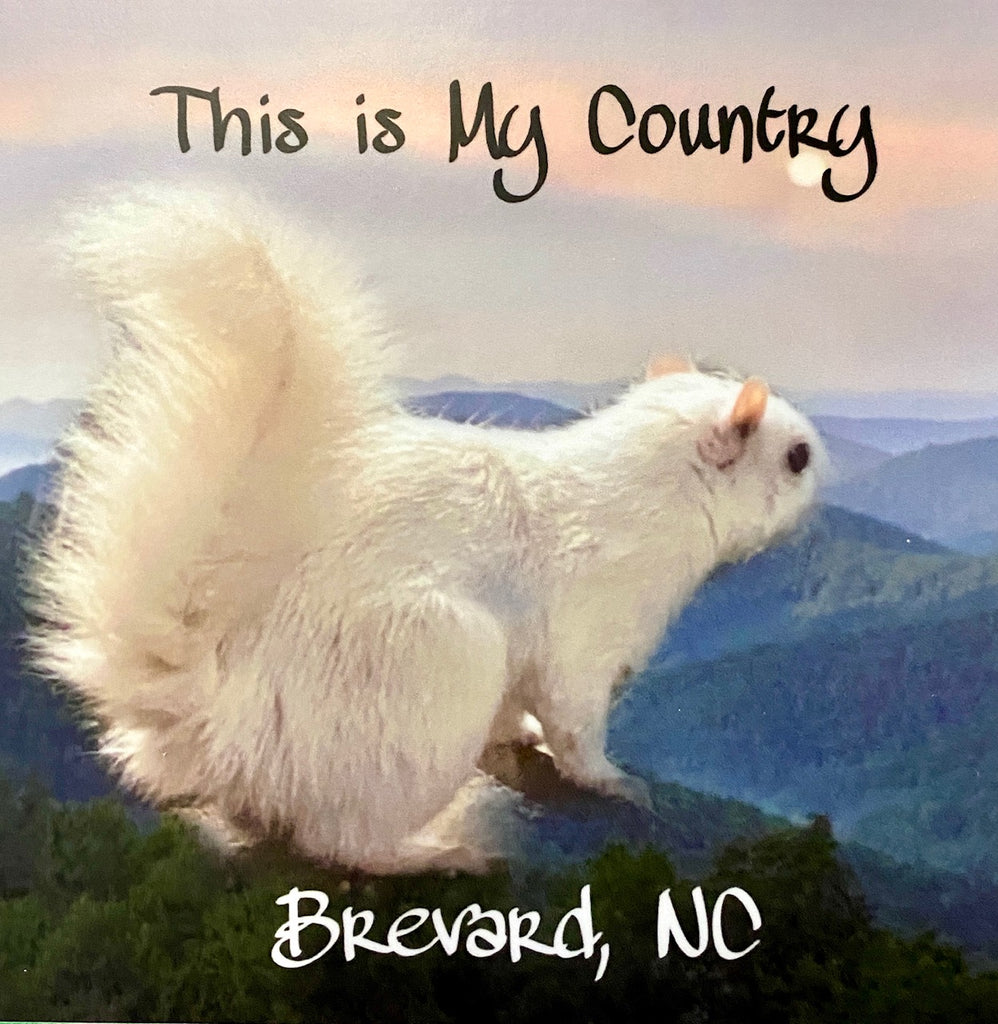 Decal/Sticker - Vinyl - White Squirrel "This is My Country"