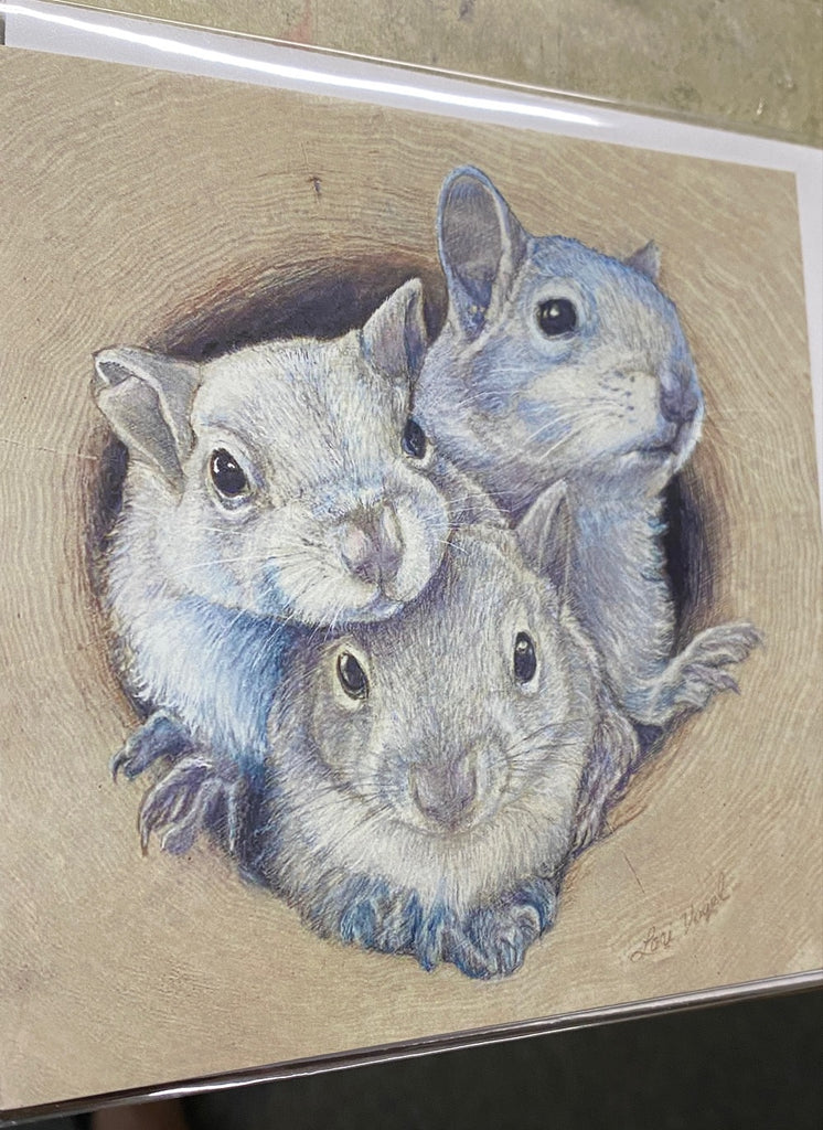 Notecards - Three White Squirrels Print by Lori Vogel