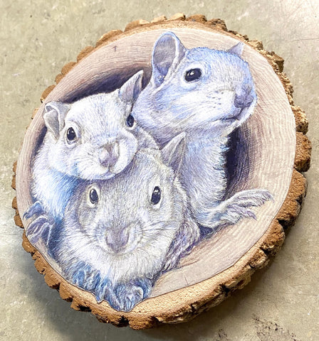 Art Print - Three White Squirrels Art Print by Lori Vogel.
