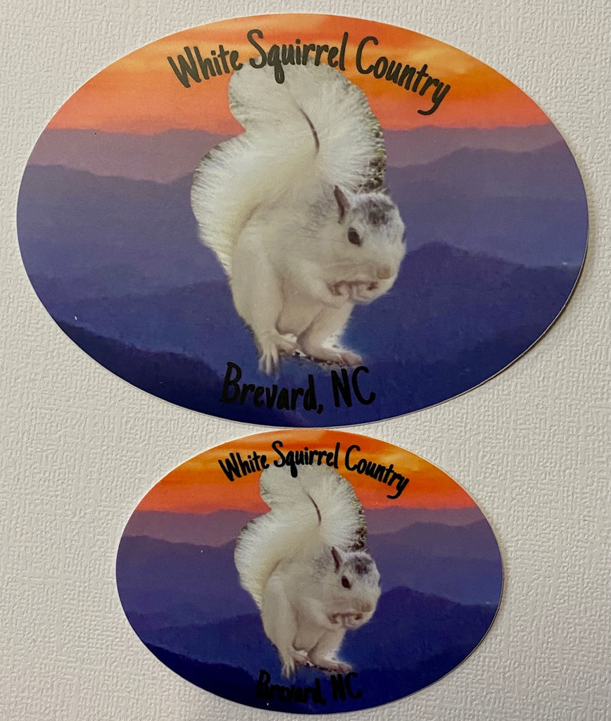 Decal/Sticker - White Squirrel with words "White Squirrel Country, Brevard, NC"