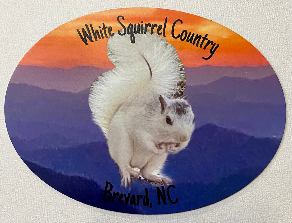 Magnet - White Squirrel Photo Magnet with "White Squirrel Country, Brevard, NC"