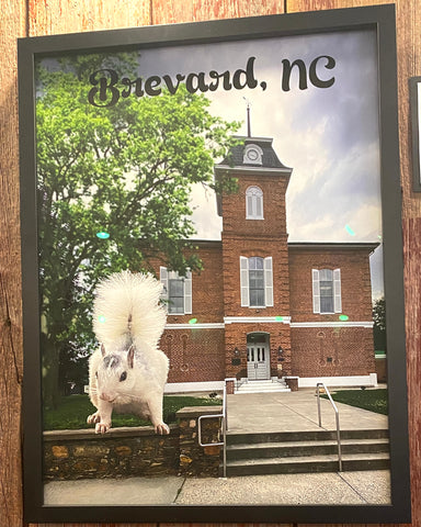 Poster - Custom-Designed Brevard, NC Poster - Courthouse & White Squirrel