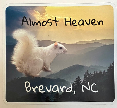 Magnet - Vinyl - Almost Heaven, Brevard, NC - 2.75" x 2.47"